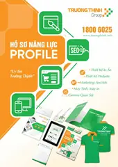 Bìa profile Trường Thịnh Group