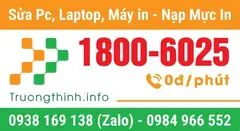 Decal nhận diện Trường Thịnh Group
