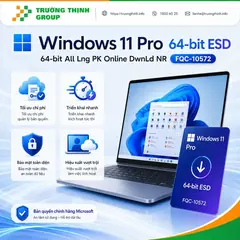 Windows 11 Pro 64-bit ESD